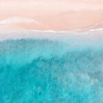 information of summer vacation